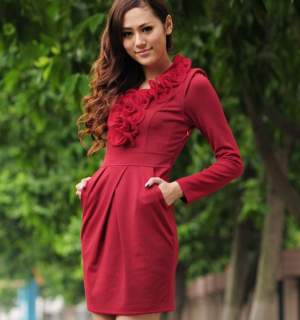 V-neck Long Sleeve Dress Deep