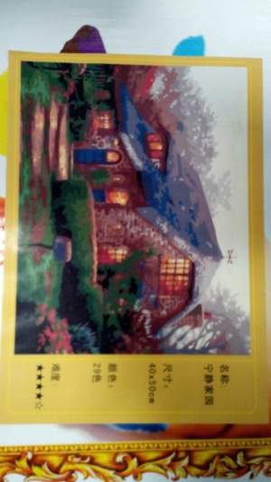 картина по номерам Дом 40*50