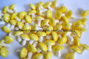 грибы желтые