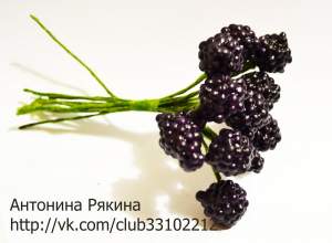 ежевика D=1.5см