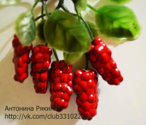 малина куст D=2.5см