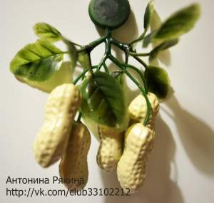 арахис магнит арахис магнит