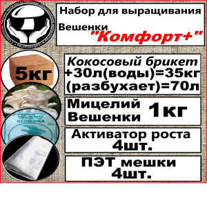 Набор для выращивания вешенки 