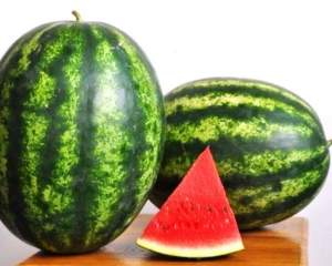 Арбуз Мисон F1 1000 семян. (Yuksel Seeds) Арбуз Мисон F1 1000 семян. (Yuksel Seeds)