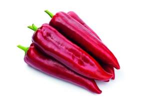 Перец Армагеддон F1 500 семян. (Yuksel Seeds) Перец Армагеддон F1 500 семян. (Yuksel Seeds)