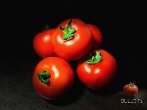 Помидоры Булз F1 500 семян. (Yuksel Seeds) Помидоры Булз F1 500 семян. (Yuksel Seeds)