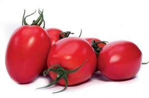 Помидоры Колеос F1 100 семян. (Yuksel Seeds) Помидоры Колеос F1 100 семян. (Yuksel Seeds)